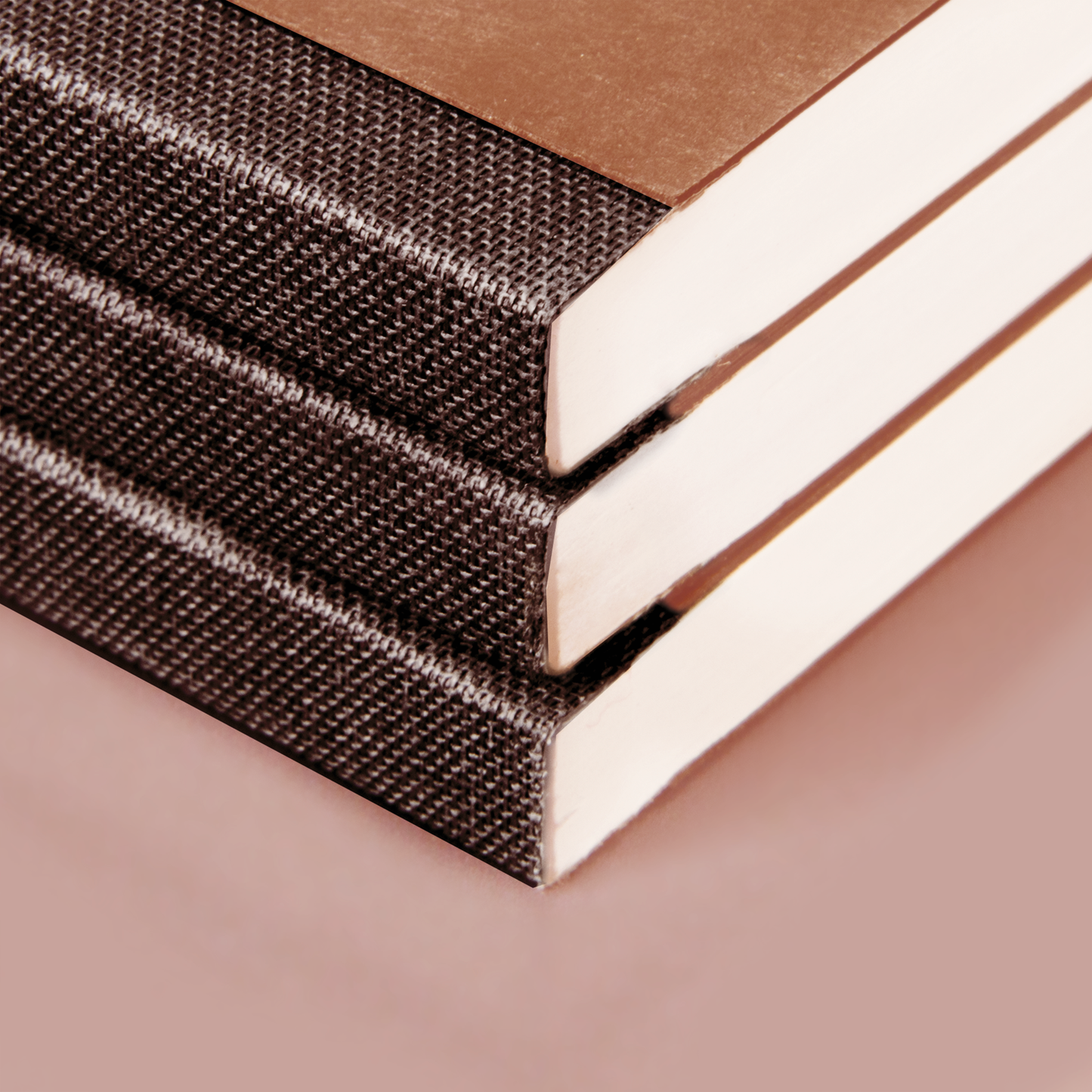 Notizbuch Brunnen Premium FACT!plus Kladde, A4, liniert, braun